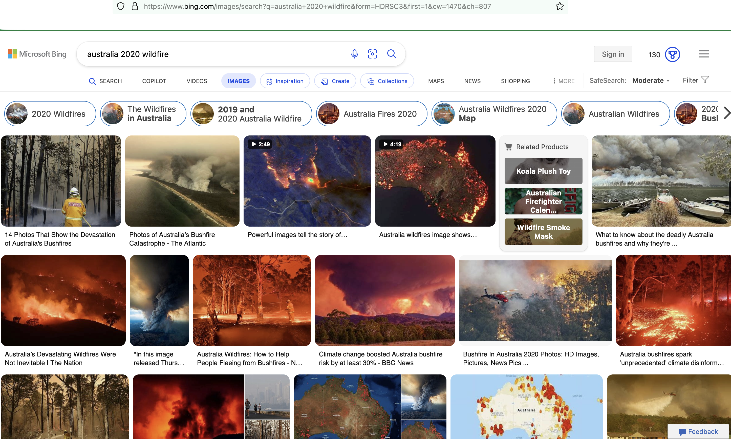 bing.com Australia 202 wildfires devastation