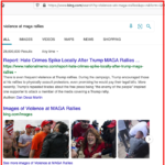 Nicole Malliotakis and violence at MAGA rallies